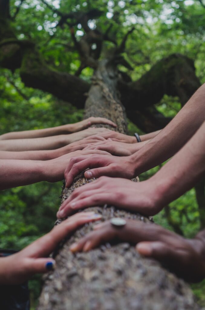 Diverse group of hands on tree trunk
